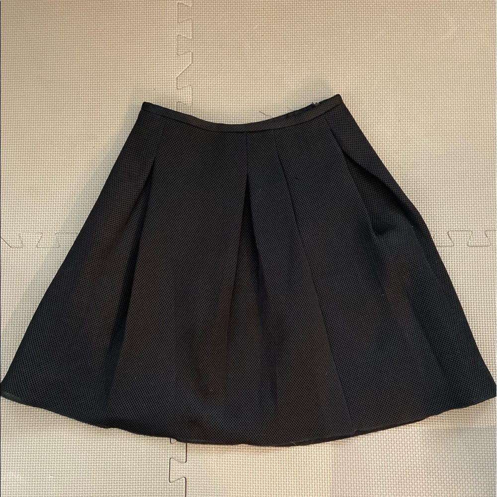 Black Mesh Skirt